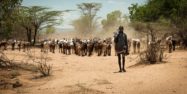 Bring the Flock to Water, Hamer Tribe by John Rowe