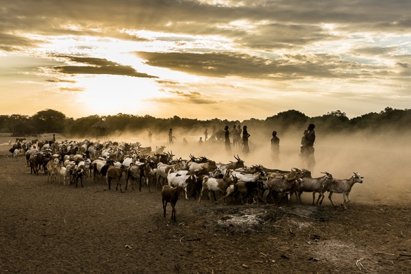 Returning Home to Dus Village by John Rowe