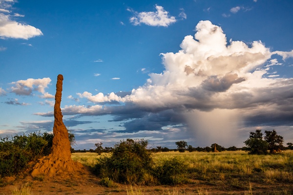 Termite Mound and Thunderstorm by John Rowe