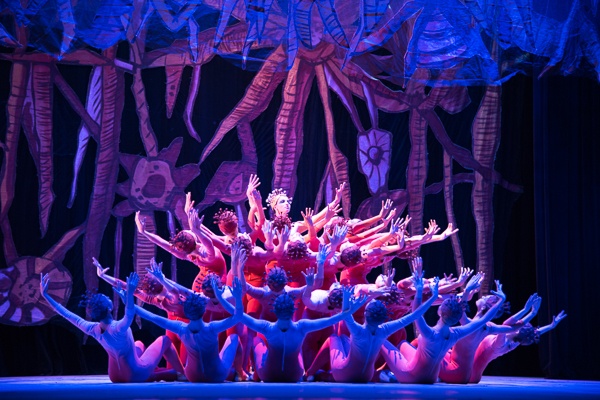 Ballet Nacional de Cuba #1 by John Rowe