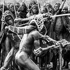 Engaged in a Donga Fight