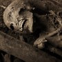 Corpse of a Coptic Pilgrim