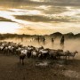 Returning Home to Dus Village