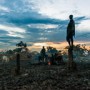 Waiting for the Herd, Dusk Suri Cattle Camp