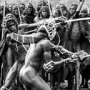 Engaged in a Donga Fight