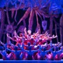 Ballet Nacional de Cuba #1